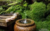 Travel photography:Water basin at Kyoto`s Inari shrine, Japan