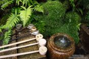 Travel photography:Water basin at Kyoto`s Inari shrine, Japan