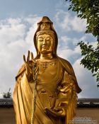 Travel photography:Golden Buddha at Kyoto´s Inari shrine, Japan