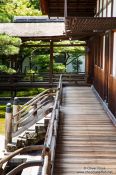 Travel photography:Wooden walkway at Kyoto´s Ninnaji temple, Japan