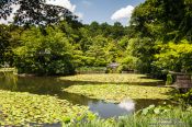 Travel photography:Lake at Kyoto´s Ryoanji temple, Japan