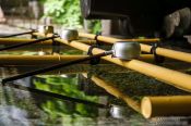 Travel photography:Water basin at the Nikko Unesco World Heritage site, Japan