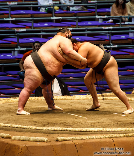 Makushita ranked wrestlers in a bout at the Nagoya Sumo Tournament