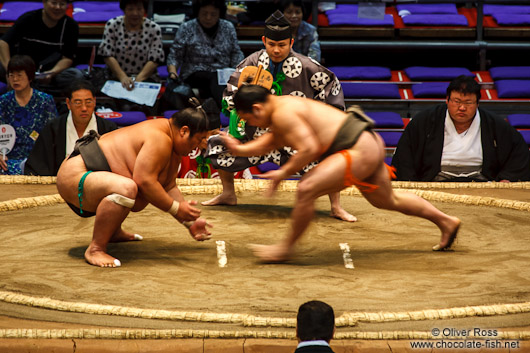 Makushita ranked wrestlers in a bout at the Nagoya Sumo Tournament