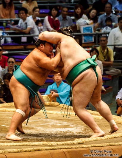 Bout at the Nagoya Sumo Tournament