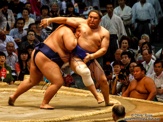 Bout at the Nagoya Sumo Tournament