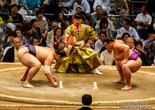 Perparing for a bout at the Nagoya Sumo Tournament
