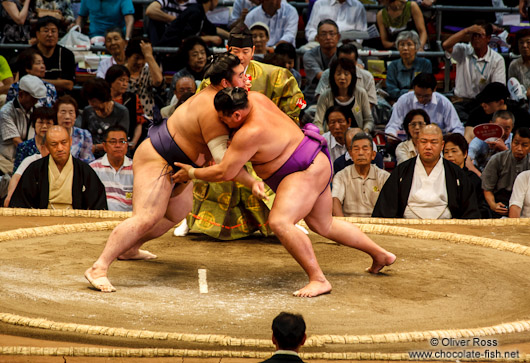 A bout at the Nagoya Sumo Tournament