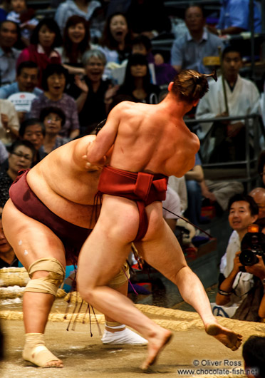 A bout at the Nagoya Sumo Tournament