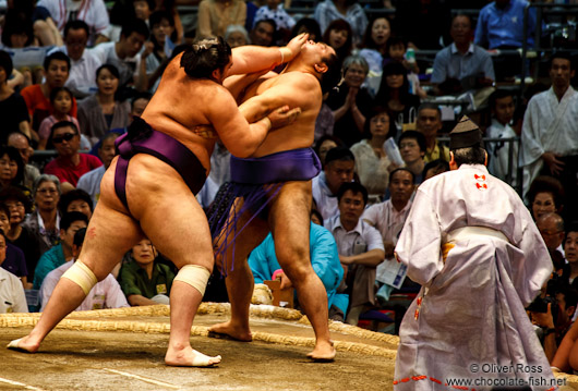 A bout at the Nagoya Sumo Tournament