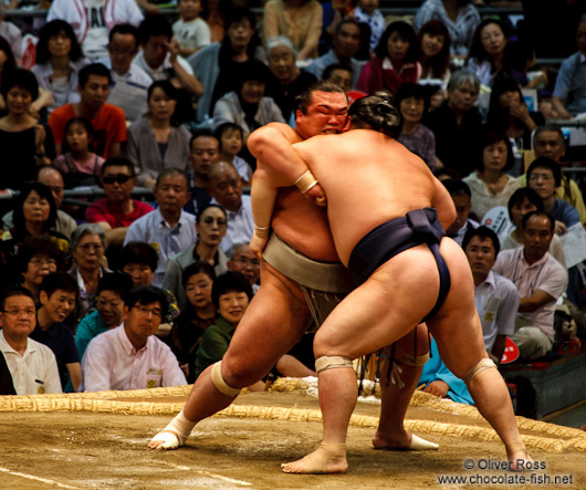 A bout at the Nagoya Sumo Tournament