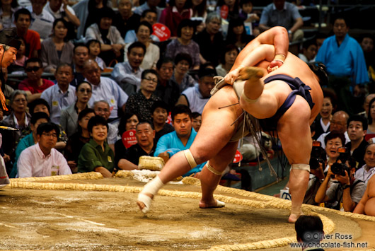 Throwing your opponent off balance at the Nagoya Sumo Tournament