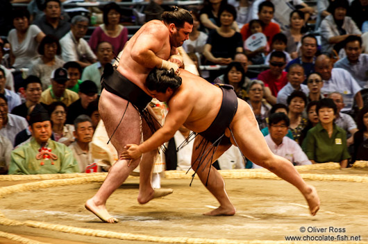 A bout at the Nagoya Sumo Tournament