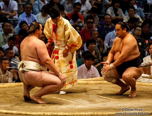 Preparing for a bout at the Nagoya Sumo Tournament