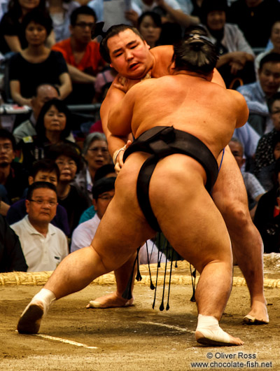 A bout at the Nagoya Sumo Tournament