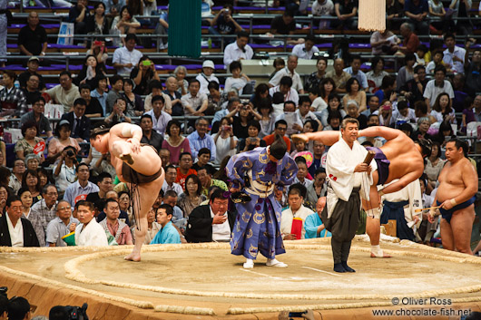 Makuuchi ranked wrestlers perform the leg-stomping (shiko) exercise to drive evil spirits from the ring (dohyoin) at the Nagoya Sumo Tournament
