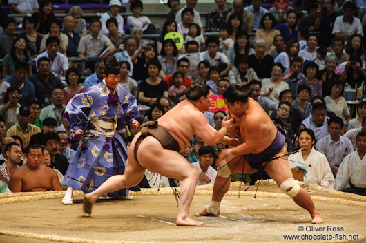 A bout at the Nagoya Sumo Tournament