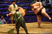 Travel photography:Makushita ranked wrestlers perform the leg-stomping (shiko) exercise to drive evil spirits from the ring (dohyoin) at the Nagoya Sumo Tournament, Japan
