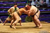 Travel photography:Makushita ranked wrestlers in a bout at the Nagoya Sumo Tournament, Japan