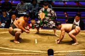 Travel photography:Makushita ranked wrestlers in a bout at the Nagoya Sumo Tournament, Japan