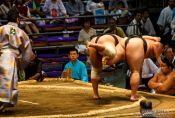 Travel photography:Sumo action at the Nagoya Sumo Tournament, Japan
