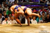 Travel photography:Bout at the Nagoya Sumo Tournament, Japan