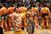 Travel photography:Entrance of the highest ranked makuuchi fighters at the Nagoya Sumo Tournament, Japan