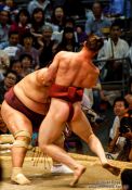 Travel photography:A bout at the Nagoya Sumo Tournament, Japan