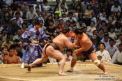 Travel photography:A bout at the Nagoya Sumo Tournament, Japan