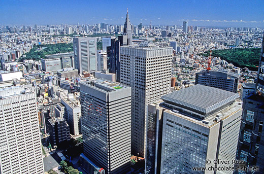 View of Tokyo from the Metropolitan Government Building in Shinjuku