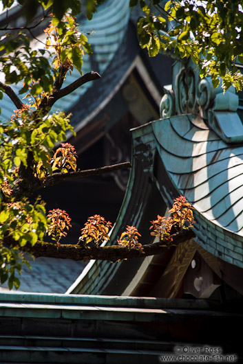 Roof construction at Tokyo´s Meiji shrine