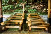 Travel photography:Water basin at Tokyo´s Meiji shrine, Japan