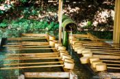 Travel photography:Water basin at Tokyo´s Meiji shrine, Japan