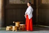 Travel photography:Girl at Tokyo´s Meiji shrine, Japan