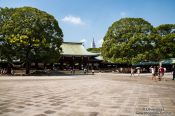 Travel photography:Tokyo Meiji shrine, Japan