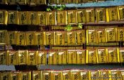 Travel photography:Lanterns at Tokyo`s Yasukuni shrine, Japan