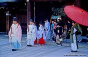 Travel photography:Traditional wedding procession in Tokyo`s Meiji Shrine, Japan