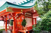 Travel photography:Tokyo shrine, Japan