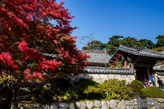 Bulguksa Temple