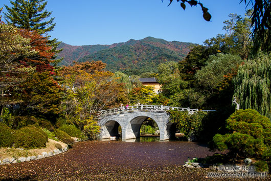 Bulguksa Temple lake