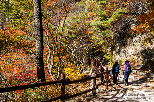 Hikers near Seokguram Grotto
