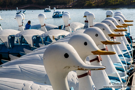 Gyeongju lake boats