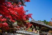 Travel photography:Bulguksa Temple, South Korea