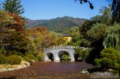 Travel photography:Bulguksa Temple lake, South Korea