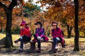 Travel photography:Bulguksa Temple visitors, South Korea