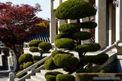 Travel photography:Gyeongju Expo Park, South Korea