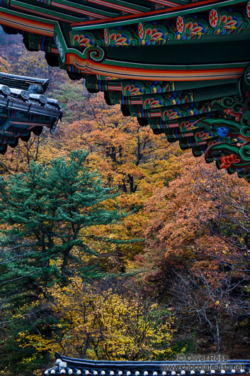 Haeinsa Temple complex