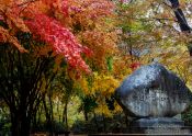 Travel photography:Haeinsa Temple complex, South Korea