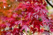 Travel photography:Haeinsa Temple complex, South Korea