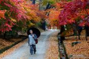 Travel photography:Haeinsa Temple complex, South Korea